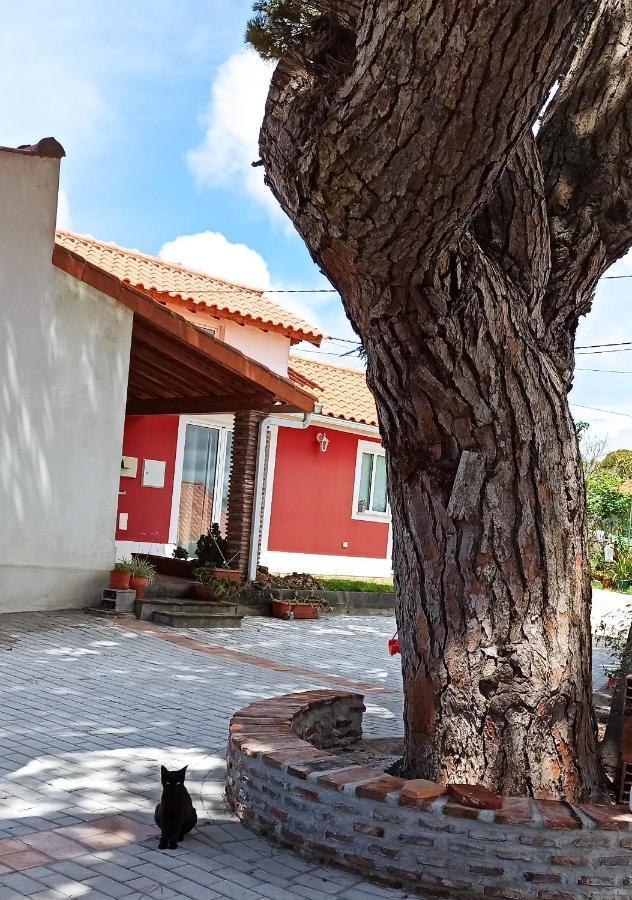 Casa De Campo A 5 Minutos Da Praia Atouguia Da Baleia Luaran gambar
